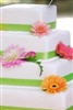 Spring Bouquet
4LS64002
